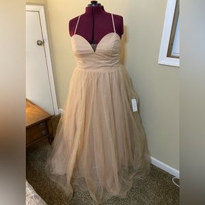 Brand new size 20 David’s Bridal prom dress